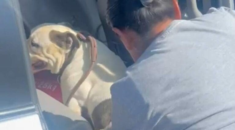 Video: Captan a adulta mayor arrastrando a un perrito en Puebla