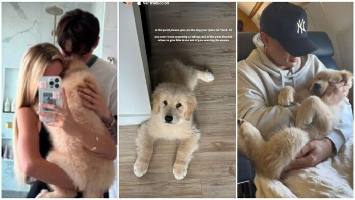 Hannah Howell, exnovia de Peso Pluma, lo acusa de quedarse con el perro que él le regaló