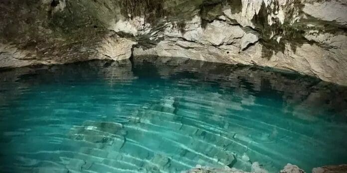 Video: Descubren un cenote en su casa en Yucatán y les ofrecen un millón de dólares