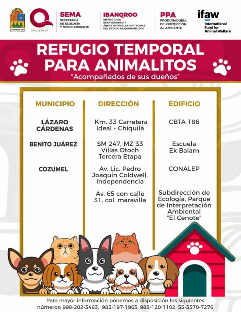 Habilitan más de 100 refugios en Quintana Roo por ciclón "Nueve", incluidos tres para mascotas