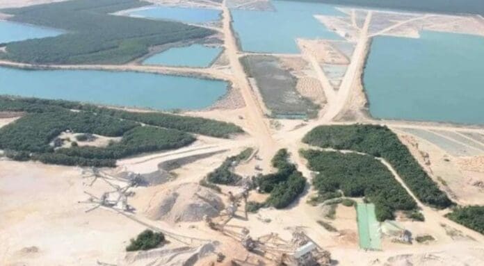Senadores de EU advierten a Claudia Sheinbaum que habría represalias por decretar a Calica como área protegida.