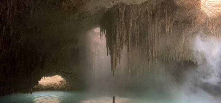 Tramo 5 sur del Tren Maya fue la peor traición de AMLO a próximas generaciones, según ambientalistas