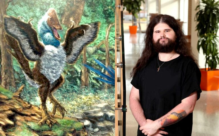 Descubren nueva especie de dinosaurio tras compra de fósiles para proyecto escolar, en Oklahoma