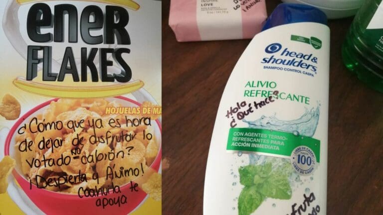 Víveres para damnificados de Acapulco llegan marcados con la leyenda “disfruten lo votado”