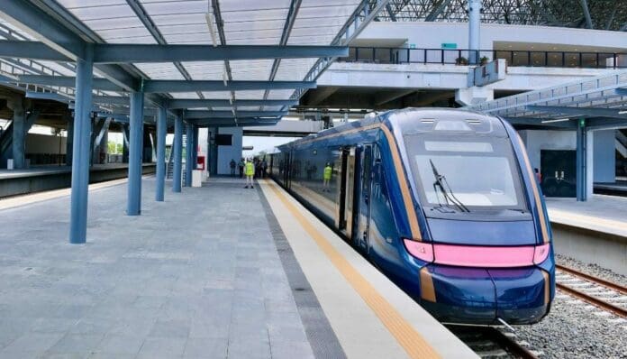 Piden activistas a la presidenta Claudia Sheinbaum que detenga los daños ambientales causados por el Tren Maya.