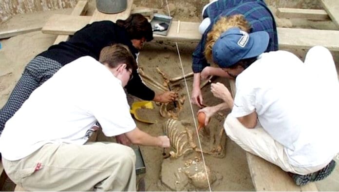 Hallan restos de casi 50 niños sacrificados hace 600 años en Perú