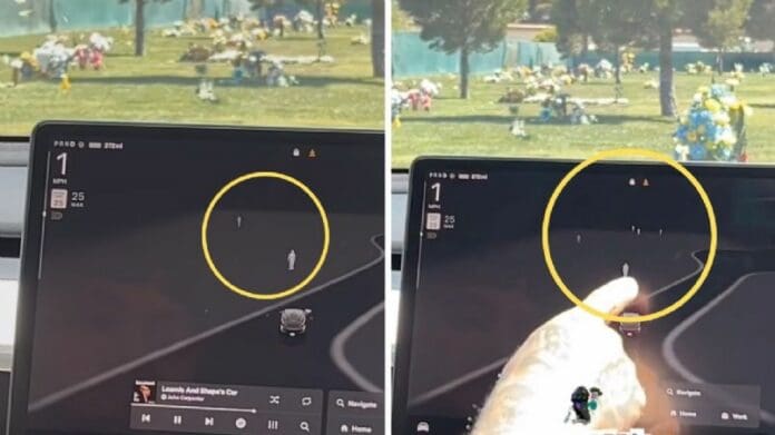 Video: Auto Tesla capta 