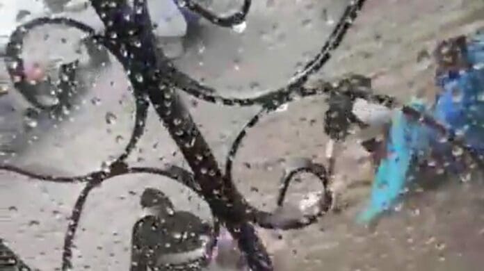 Unos niños fueron arrastrados por la corriente en Atlixco, Puebla, donde las calles se inundaron luego de una fuerte lluvia.