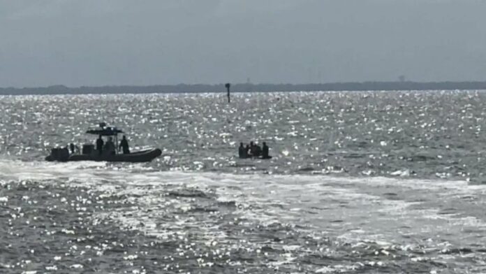 Video: Avioneta se estrella con cuatro pasajeros que escapaban del huracán Milton en Tampa