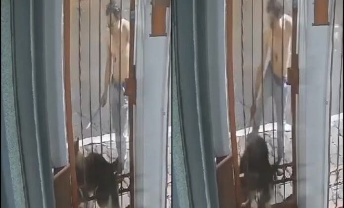 VIDEO: Captan a sujeto golpeando a un perro atorado en una reja en Puebla