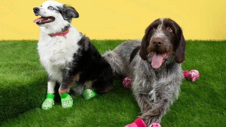 Crocs lanzará su icónica sandalia para perritos
