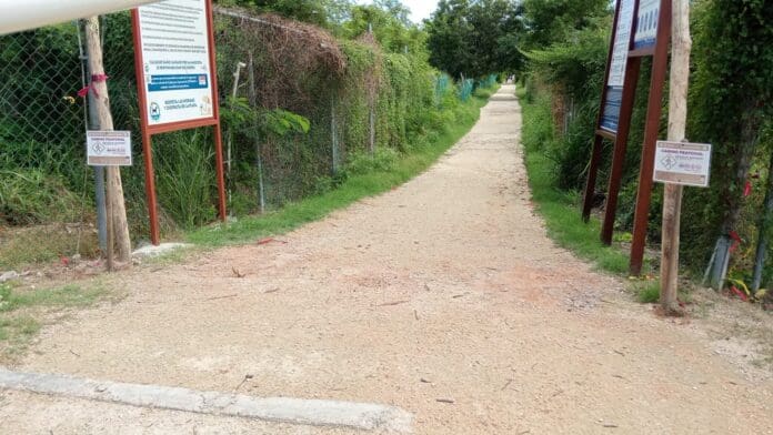 Tras cinco días de cierre reabren acceso al arenal para mascotas de Playa del Carmen