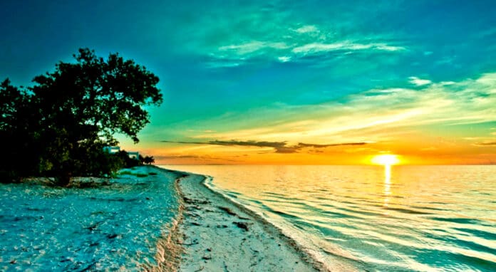 Declaran a la isla de Holbox en emergencia sanitaria y ambiental