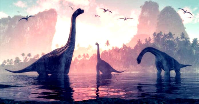 Descubren en Brasil un reptil que puede aportar pistas del origen de los dinosaurios