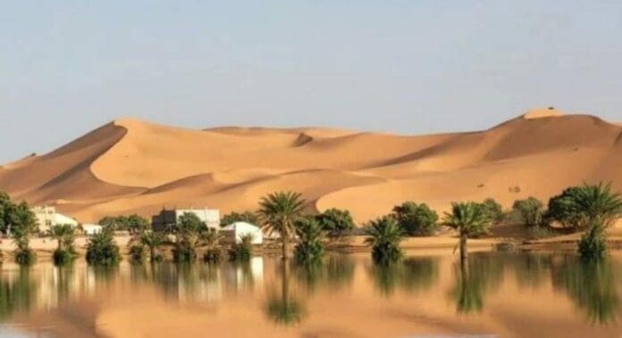 El desierto del Sahara se inundó por primera vez en 50 años, debido a las lluvias de las últimas semanas en la zona.