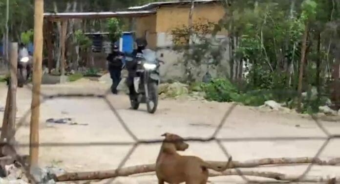 Una balacera entre policías y sujetos armados en In House de Playa del Carmen este miércoles deja un lesionado.