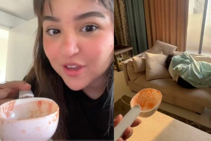 VIDEO: Confunde cucharón de arena para gatos con uno de cocina y el error se vuelve viral en TikTok