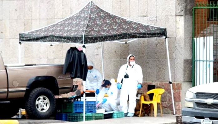 Cuatro asesinatos en León: tres mujeres y un hombre