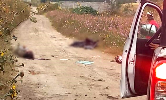 Hallan cuatro cuerpos en camino de terracería de Chalco, Edomex