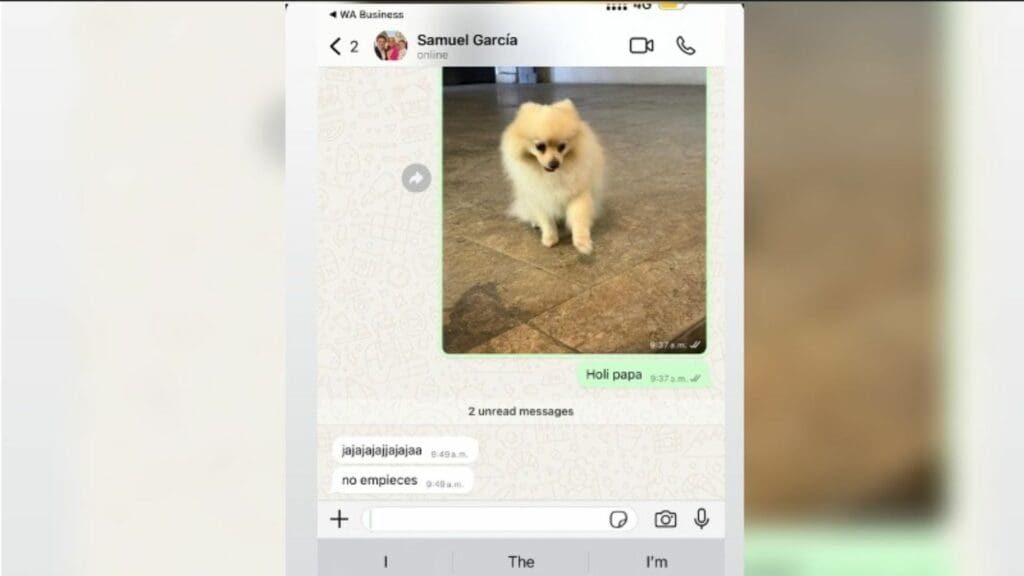 Mariana Rodríguez rescata a perrito de la calle; casi lo atropella