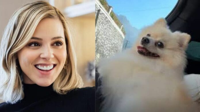 Mariana Rodríguez rescata a perrito de la calle; casi lo atropella