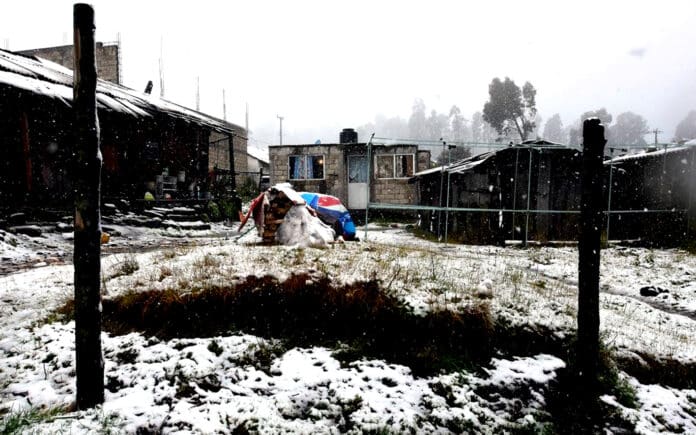 Pronostican invierno más crudo para el país que en 2023 con 48 frentes fríos, hasta febrero próximo