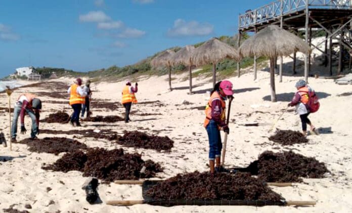 Pierden hasta 10 metros de arena playas de Cancún tras paso de fenómenos naturales