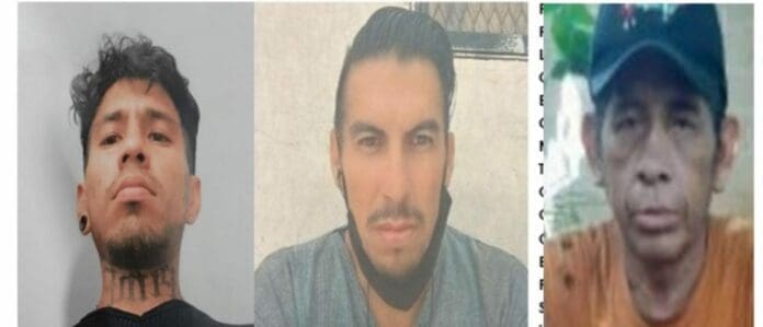 Se busca a seis hombres desaparecidos en Quintana Roo en los últimos días. Son de Cancún, Playa del Carmen y Chetumal.