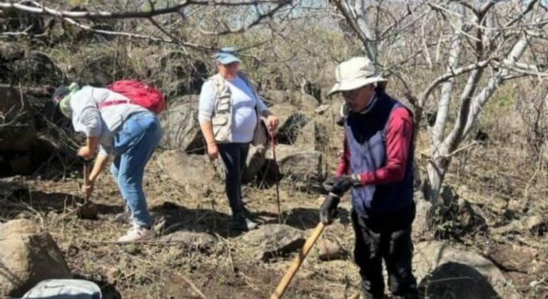 Registran 225 defensores de la tierra y de derechos humanos asesinados en México desde 2018