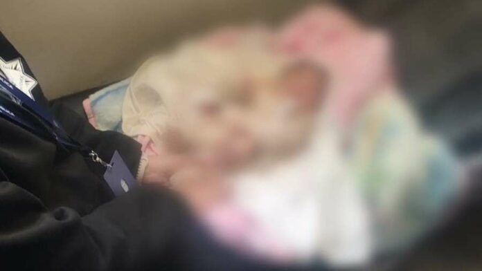 Abandonan a bebé recién nacida en la catedral de Cuauhtémoc, Chihuahua