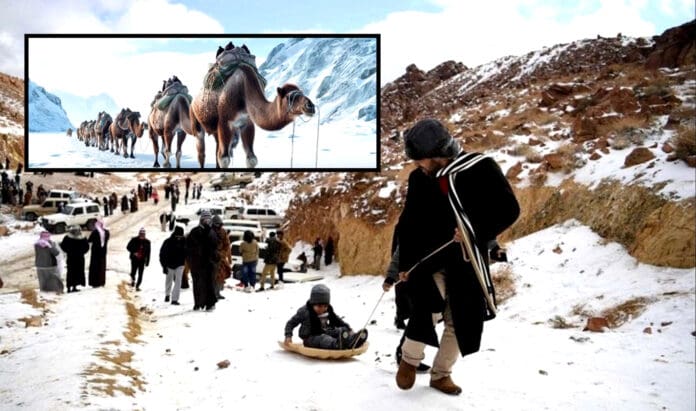 Video: Insólito, por primera vez cae nieve en el desierto de Arabia Saudita
