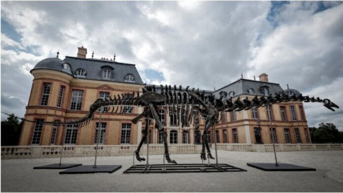 Esqueleto gigante de dinosaurio es subastado en más de 6.3 mdd en Francia