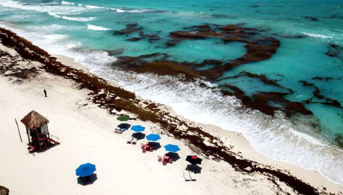 Planean recortar casi 26 mil mdp al presupuesto para medio ambiente en México