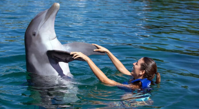 VIDEO: Influencer española denuncia encierro de delfines en parque Xcaret