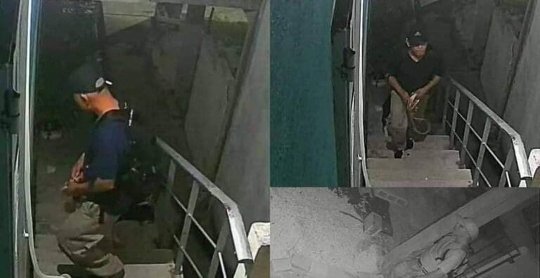 Investigan denuncia sobre presunto agresor de perros en Playa del Carmen. Se los roba, los lastima y hasta abusa de ellos.