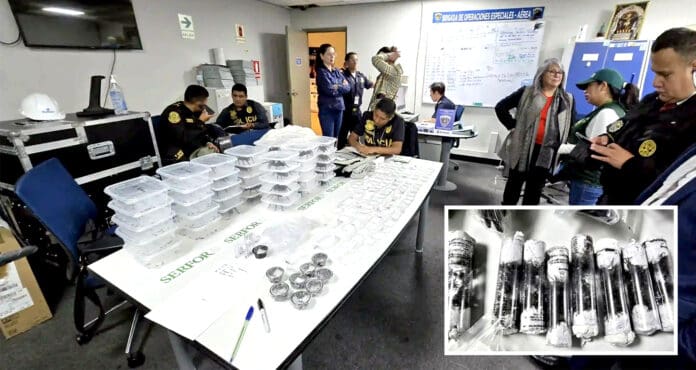 Video: Atrapan a hombre con 320 tarántulas ocultas en su cuerpo en un aeropuerto de Perú