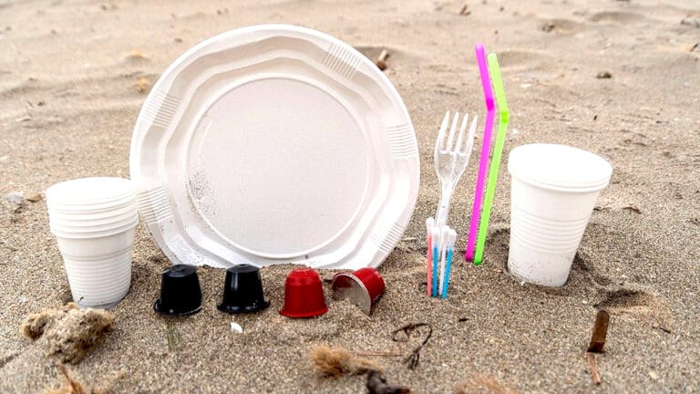 Identifican los 10 productos más problemáticos para el medio ambiente y la salud en México