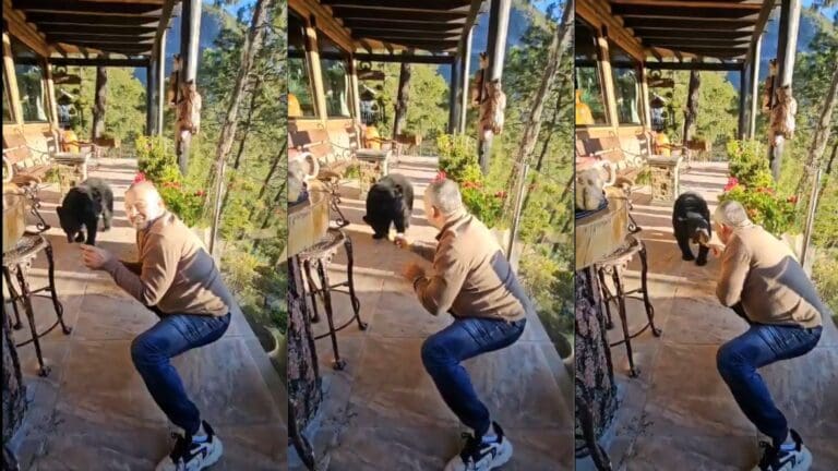 Video: Hombre alimenta a oso que entró a su cabaña en Nuevo León