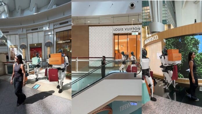 Video: Mujer va de compras al centro comercial con cuatro robots Tesla como asistentes