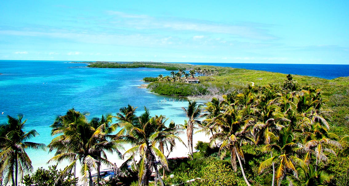 Pretende Morena aumentar 100% cuotas de acceso a las áreas naturales protegidas