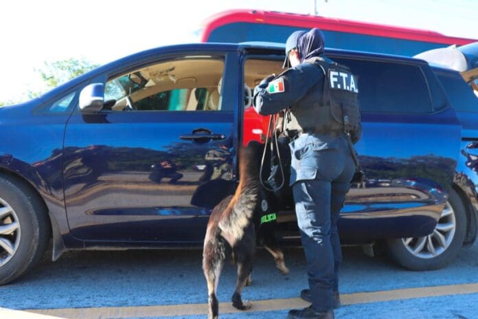 Fuerzas policiales y militares implementan “Operativo Blindaje Riviera Maya”