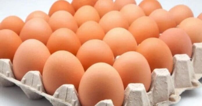 Sigue la contaminación de alimentos en los Estados Unidos. Ahora retiran pepinos y hasta huevos con salmonela.