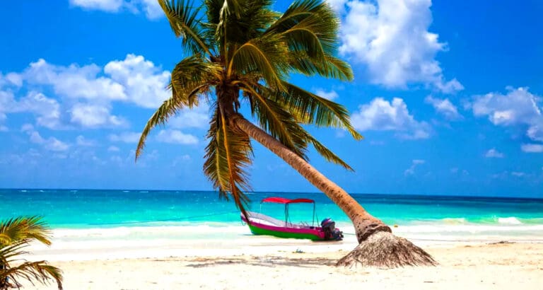 Hay severa erosión en 10% de las costas de Quintana Roo