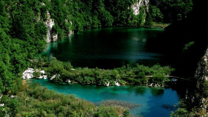 Destinan sólo 10 pesos por hectárea de área natural protegida en 2025