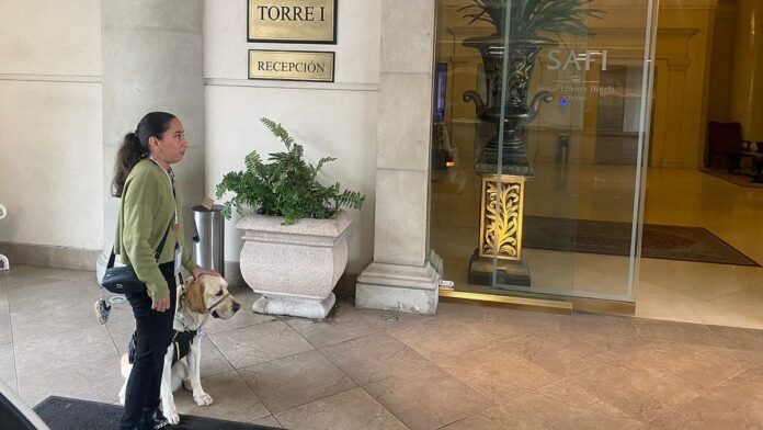 Exhiben a hotel por no dejar entrar a joven invidente con su perro guía en Monterrey
