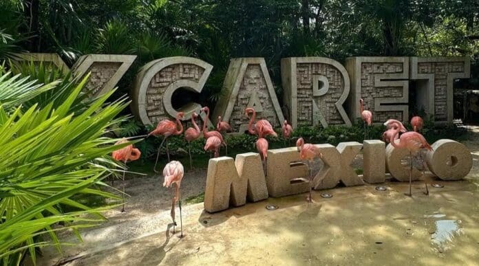 Invita la Profeco a ciudadanos a unirse a acción colectiva contra Experiencias Xcaret por no cumplir a clientes.