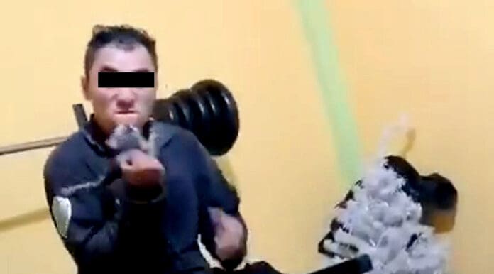 Vinculan a proceso a hombre que habría matado a 10 gatos en el Edomex