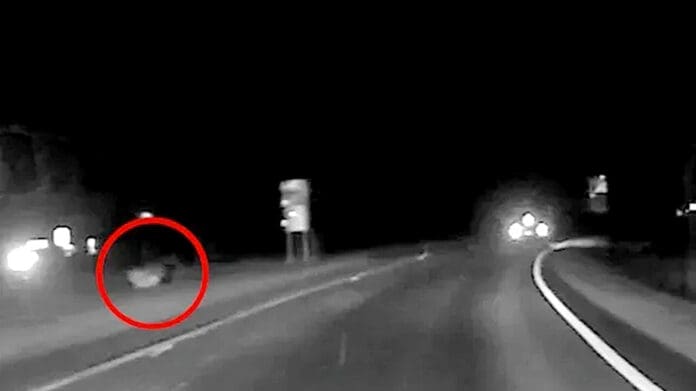 Video: Arroja hombre a su bebé desde un auto durante persecución policiaca en EU