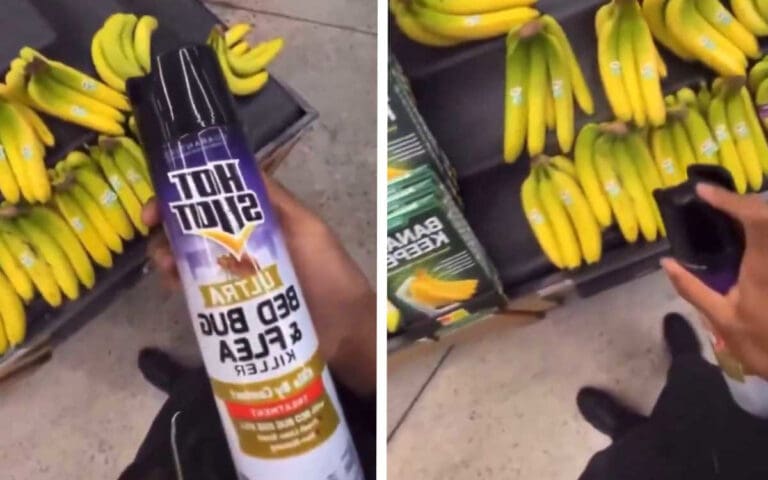 VIDEO: Detienen a ‘influencer’ que se grabó mientras rociaba insecticida en alimentos de un supermercado