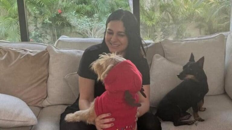 Gobierno de Solidaridad de Estefanía Mercado cierra 2024 con 85% menos rezago en temas ambientales y de animales.